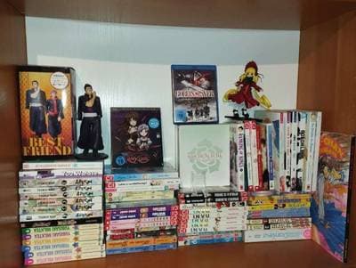 Große Anime & Manga Sammlung, alte Mangas, Artbook und Gratis Beigaben :)
