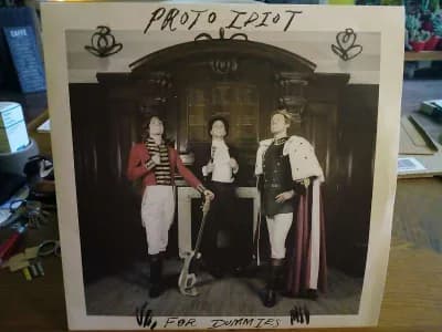Proto Idiot - For Dummies, Vinyl LP, Bad Paintings, 2015