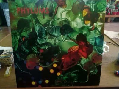 Phylums - Phylum phyloid, Vinyl LP, Dirtnap Records