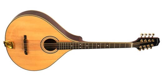 Gold Tone - OM-800+
