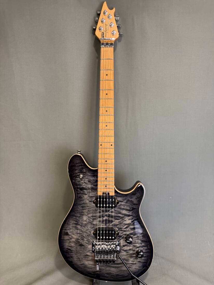 EVH - 510-7701-597