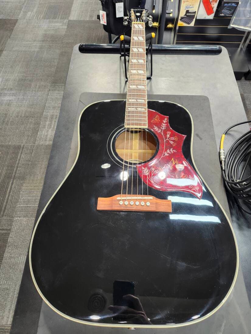 Epiphone - EEHBEBNH