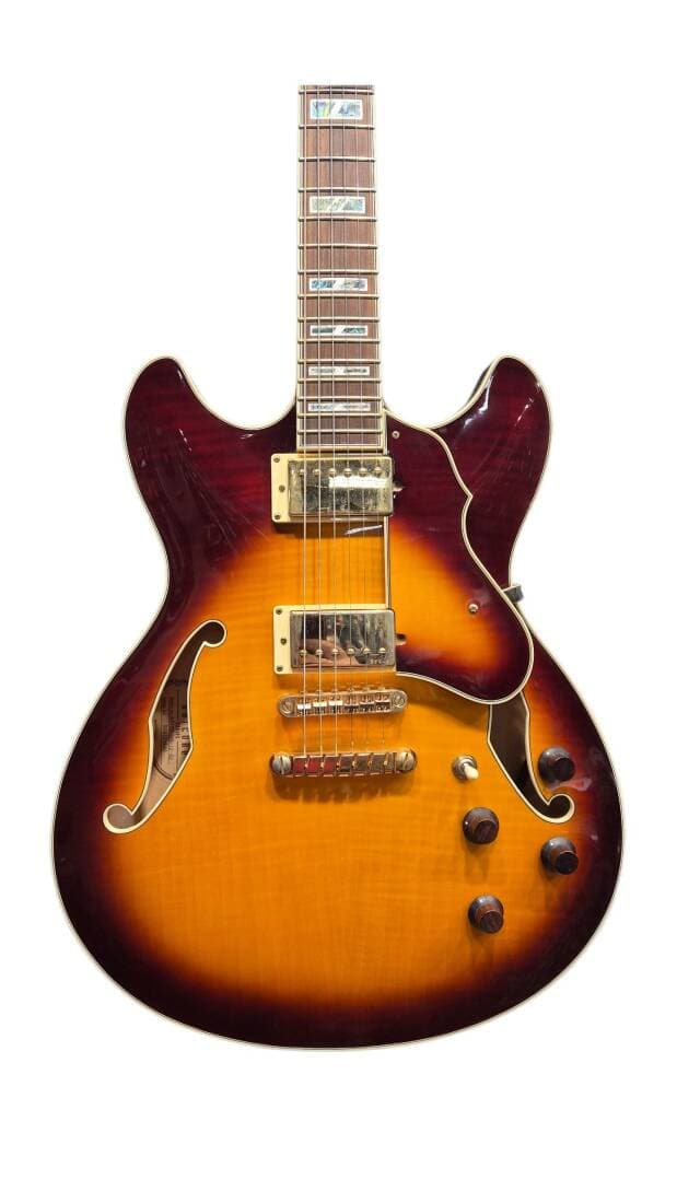 Ibanez Artcore Custom AS103