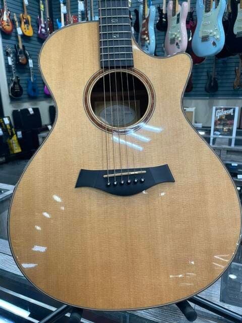 TAYLOR 512 CE LTS FALL EDITION