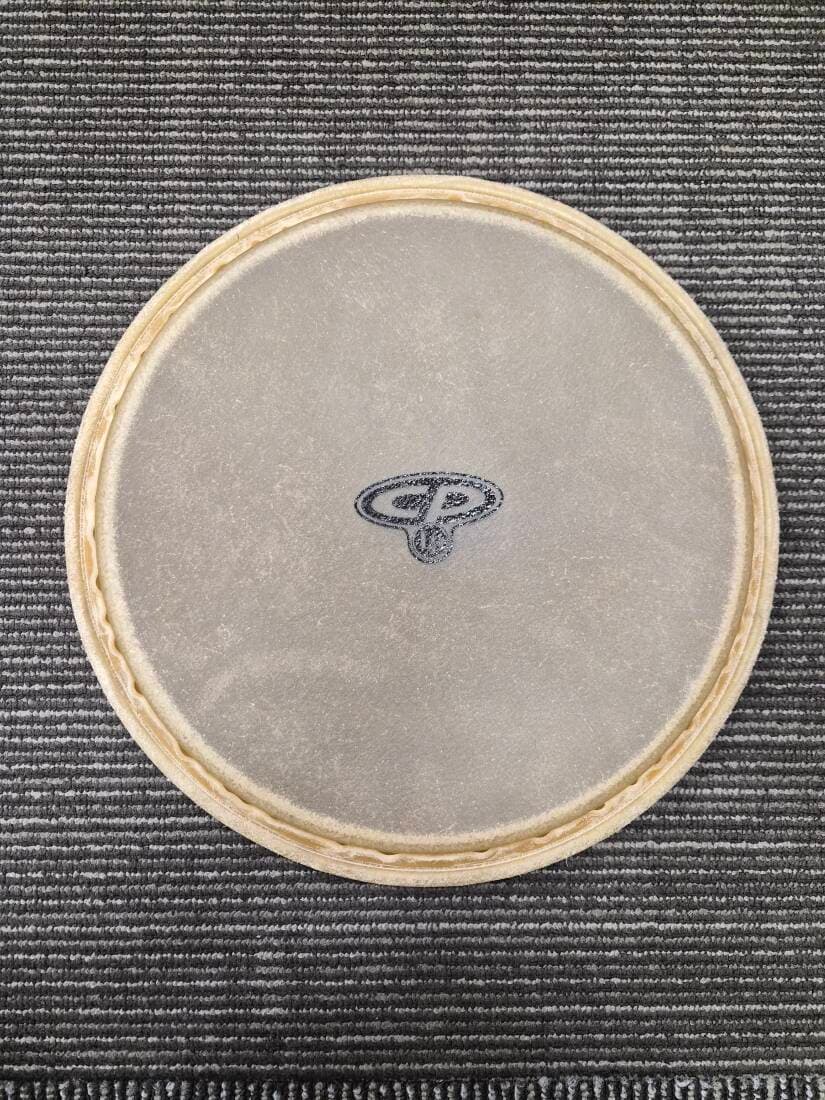 LP 12