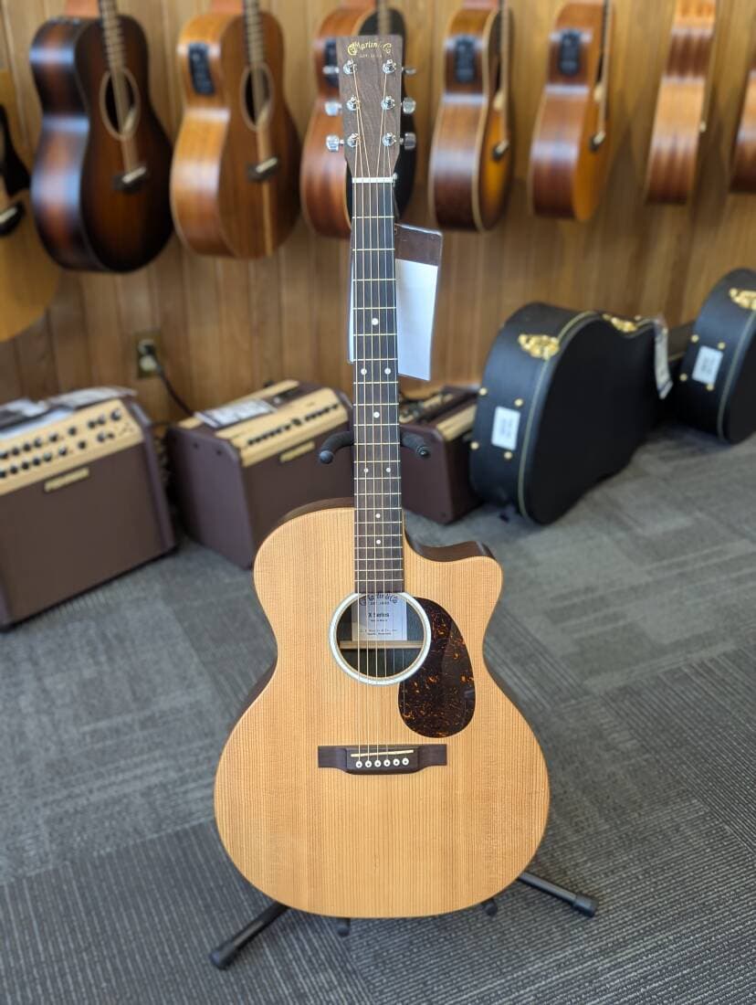 GPC-X2E Spruce/Cocobolo HPL Acoustic/Electric Guitar with Gigbag