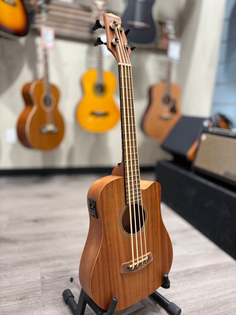 Gold Tone - MICRO BASS