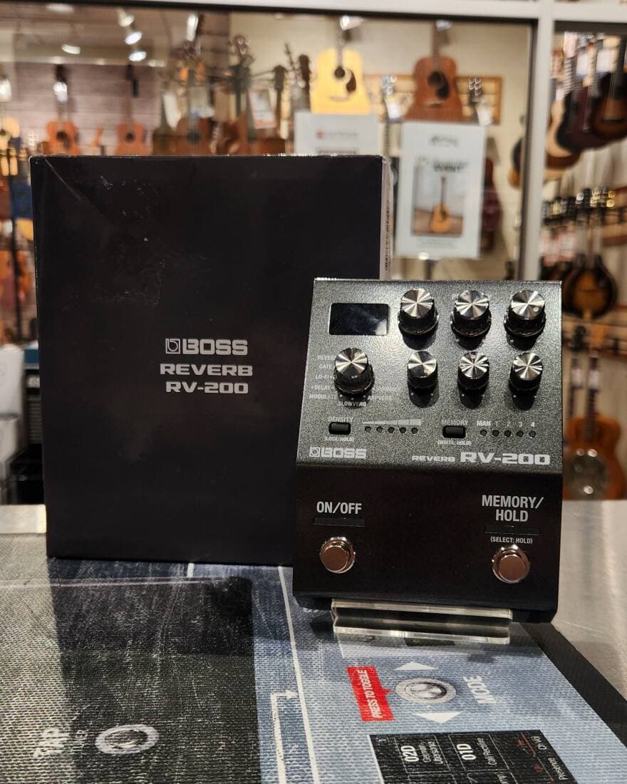 BOSS - RV-200