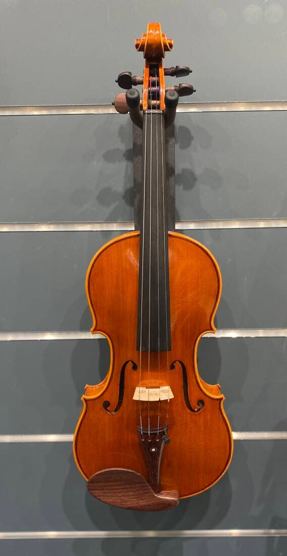 Remenyi Edition 4/4 Violin