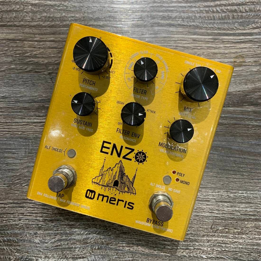 MERIS ENZO