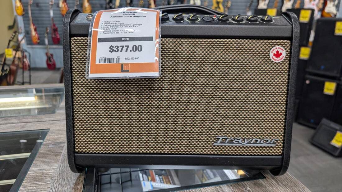 Traynor Acoustic Master AM Mini