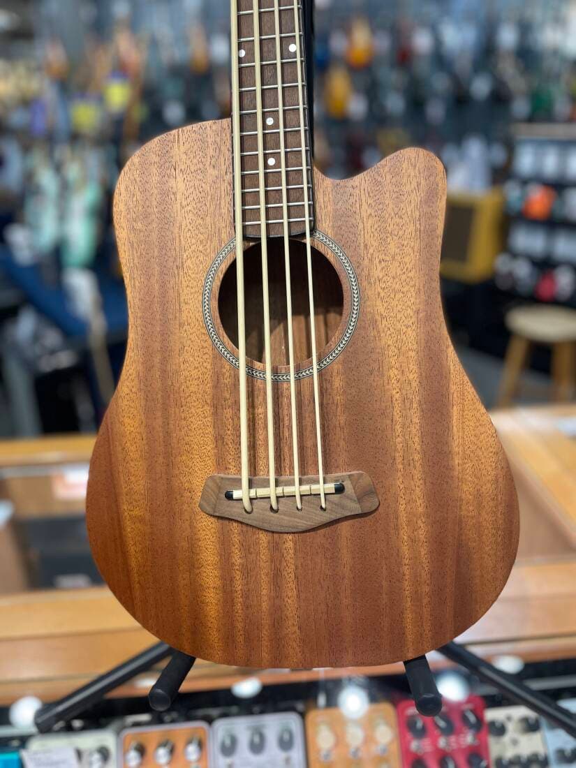Gold Tone - MICRO BASS