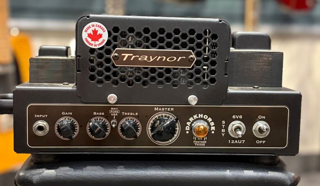 DarkHorse 15 Watt All-Tube Guitar Head