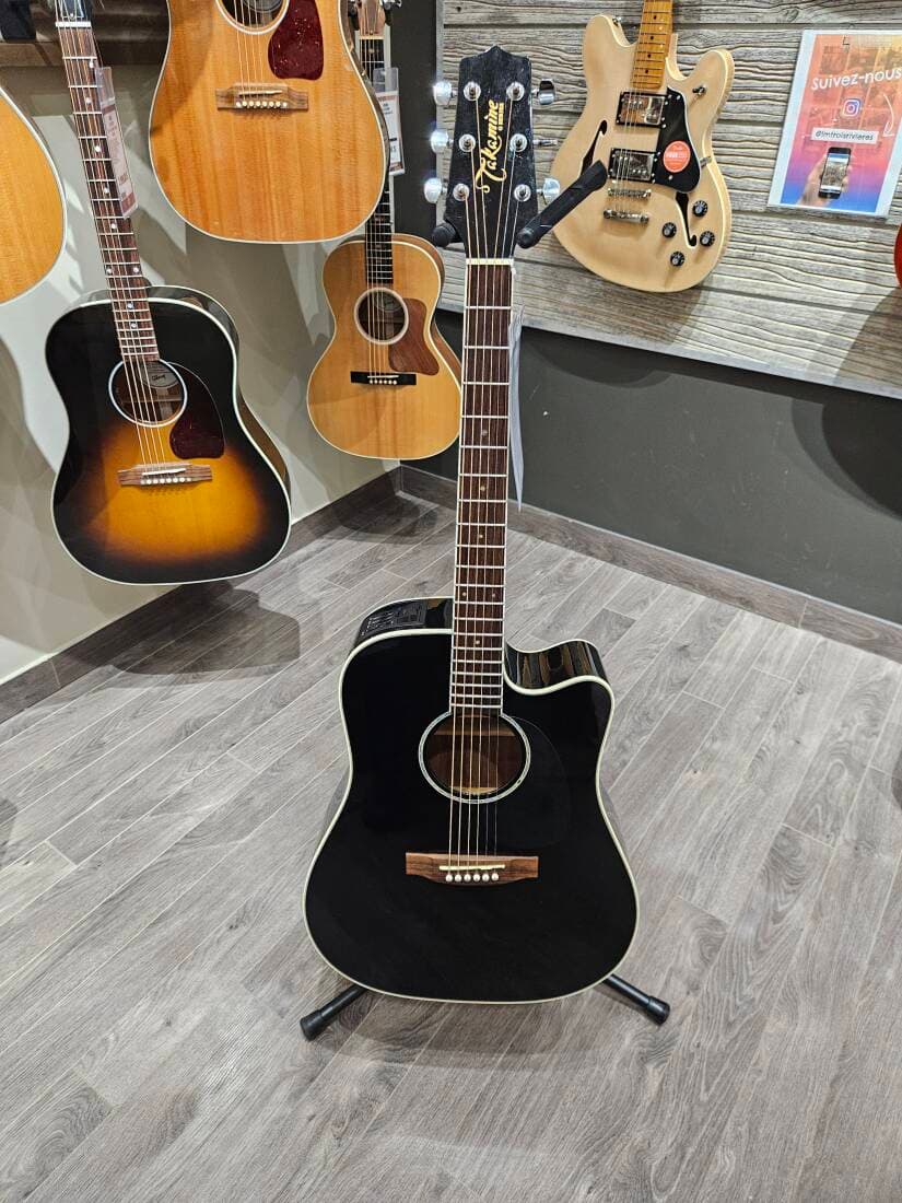 TAKAMINE EG341SC