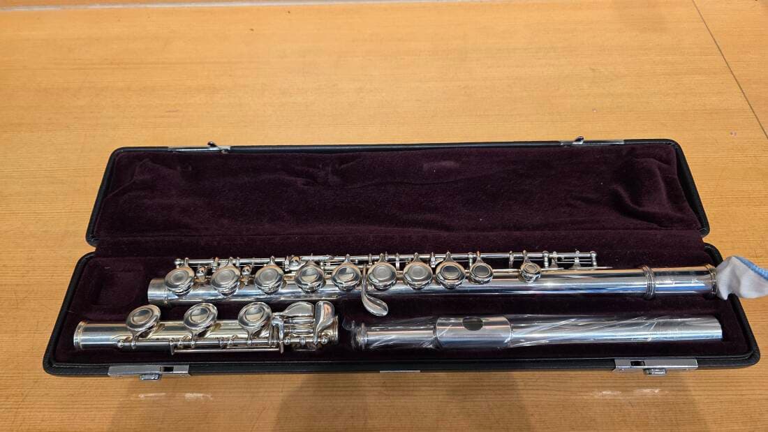Yamaha Band - YFL481