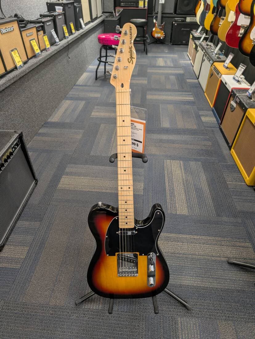 Squier - 037-8203-500