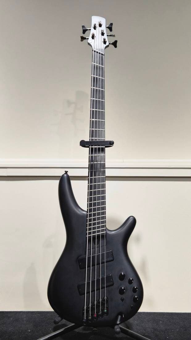 Ibanez - Basse 5 cordes SR Iron Label multidiapason (noir mat)