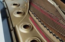 Steinway & Sons D