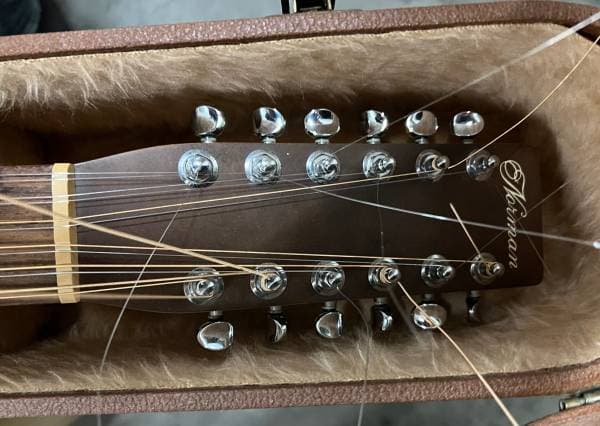 Norman (lefty) 12 String Guitar