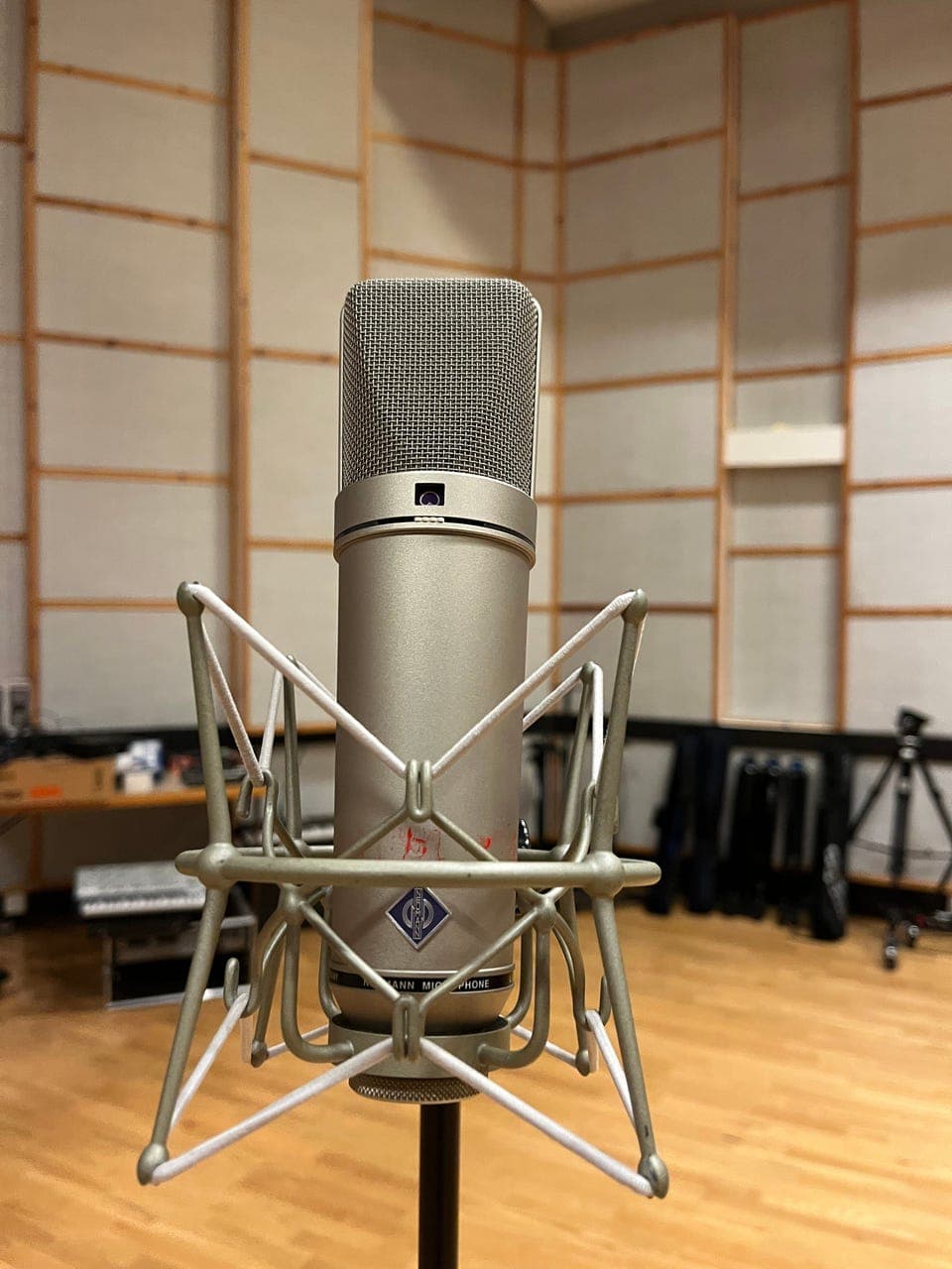 Neumann U87 AI med shockmount - Les beskrivelsen!