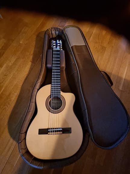 Guitar Raimundo 1498-A requinto, cutaway