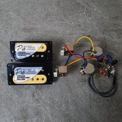 Epiphone's USA ProBucker Zebra humbuckers Set! (Bridge & Neck Pair)