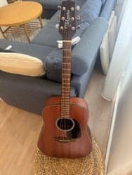 Takamine GD11M-NS