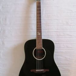 Costom made, SX, Poison, Akustik Guitar