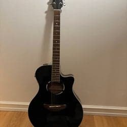 Akustisk gitarr Yamaha APX500 med tillbehör