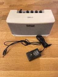 Roland Cube Lite Monitor - Gott Skick
