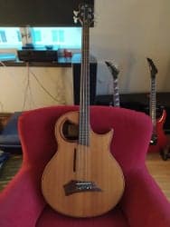 Akustisk basgitarr Warwick Alien 4 Nypris idag dryga 25000kr