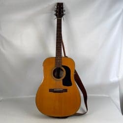 George Washburn D-10N akustisk gitarr.