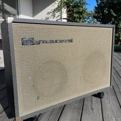 Dynacord Rex – Vintage rörförstärkare 1960tal