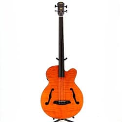 Aria FEB F2/FL Acoustic Bass, Flame Nato Natural - DEFEKT