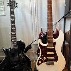 Larry Carlton S7 Electric Guitar Vänster