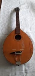 Mandolin/Mandola