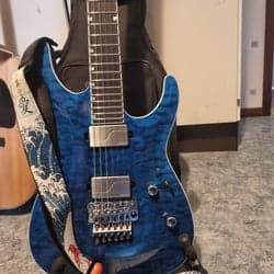 LTD Deluxe M-1000 elgitarr
