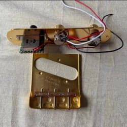 Telecaster Stall och Kontrollplatta i Guldfärgad