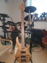 ESP LTD B-204 Elbas