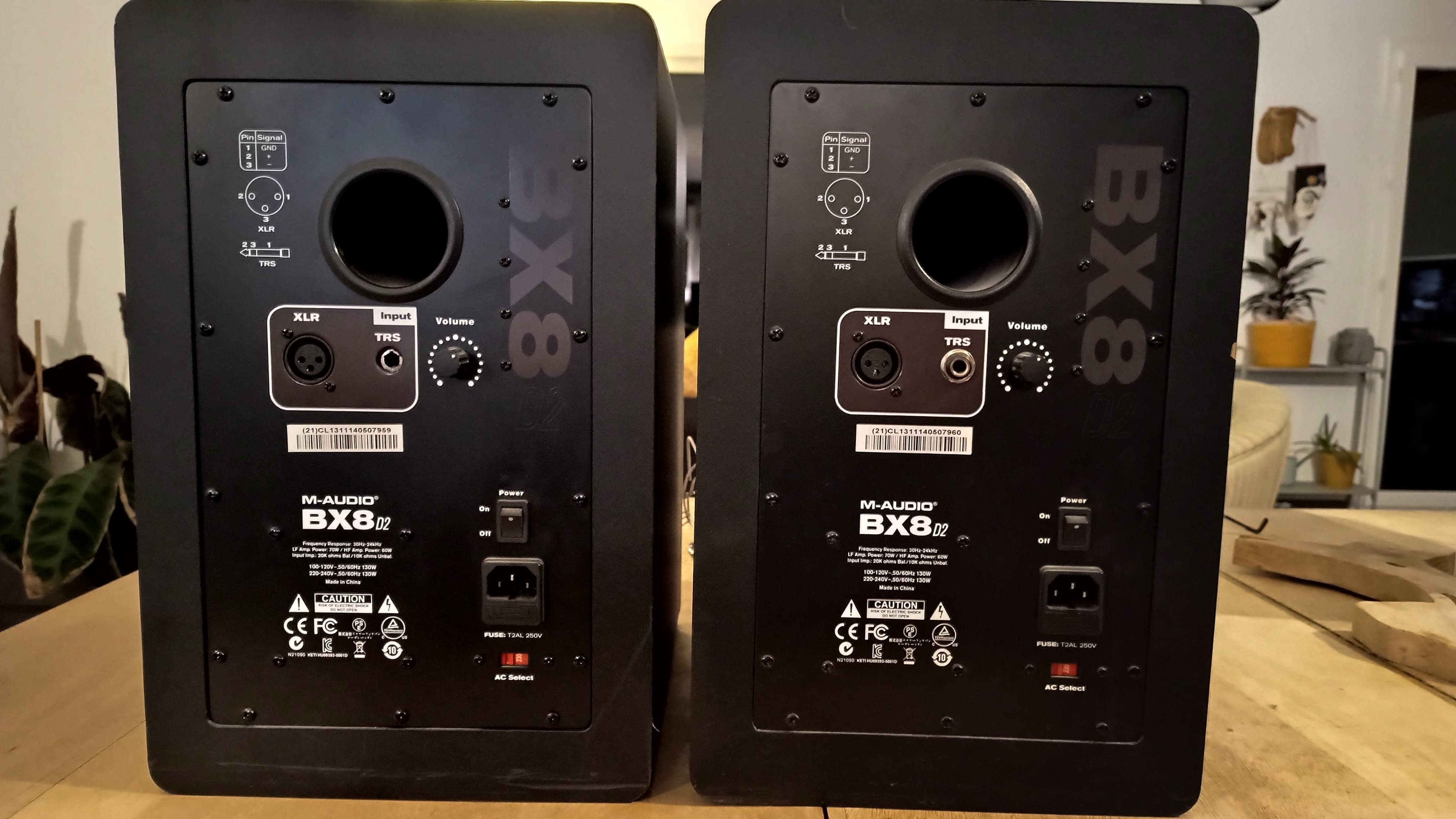 Vends paire de BX8D2