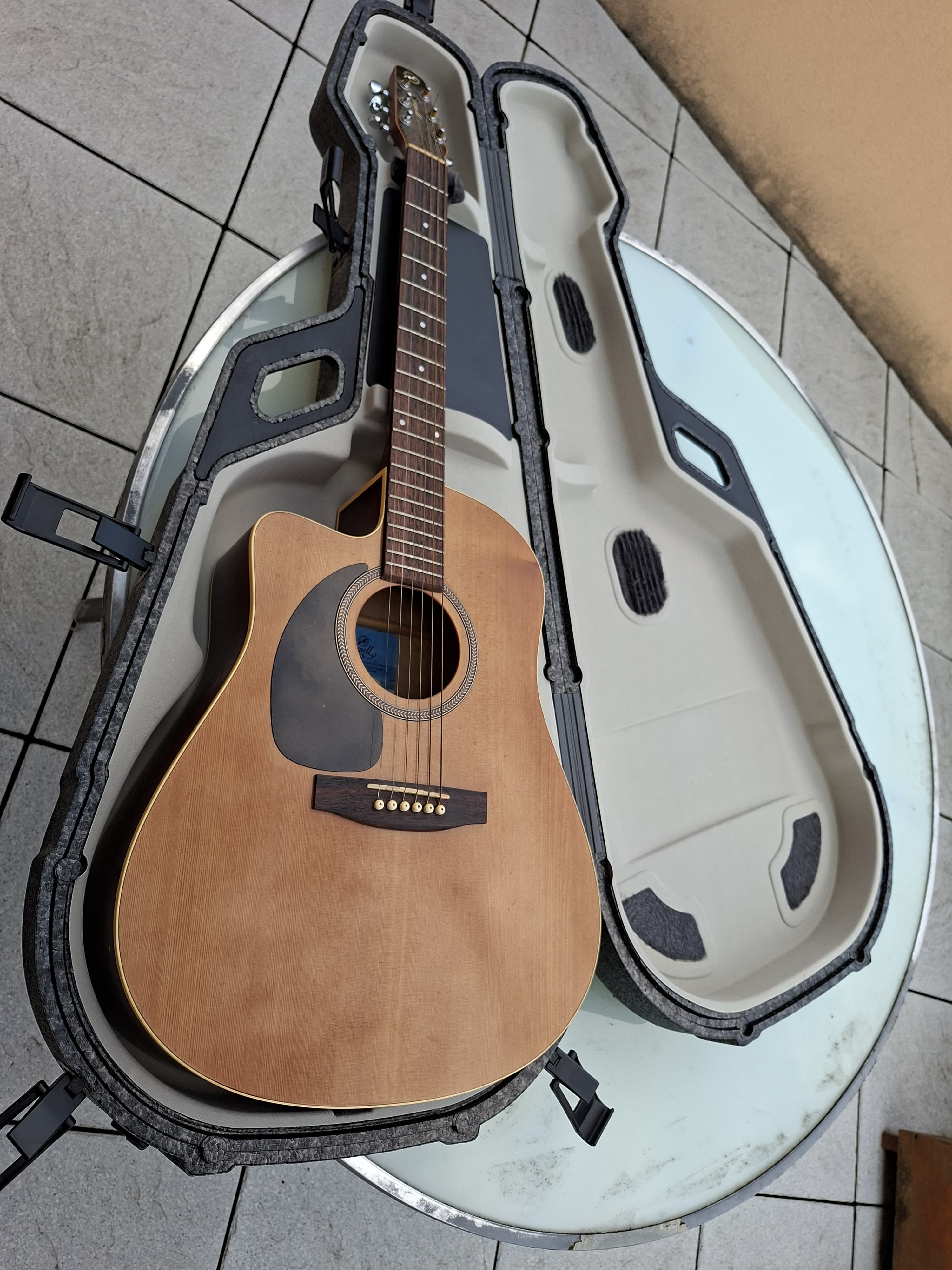 Guitare seagull performer quantum gaucher