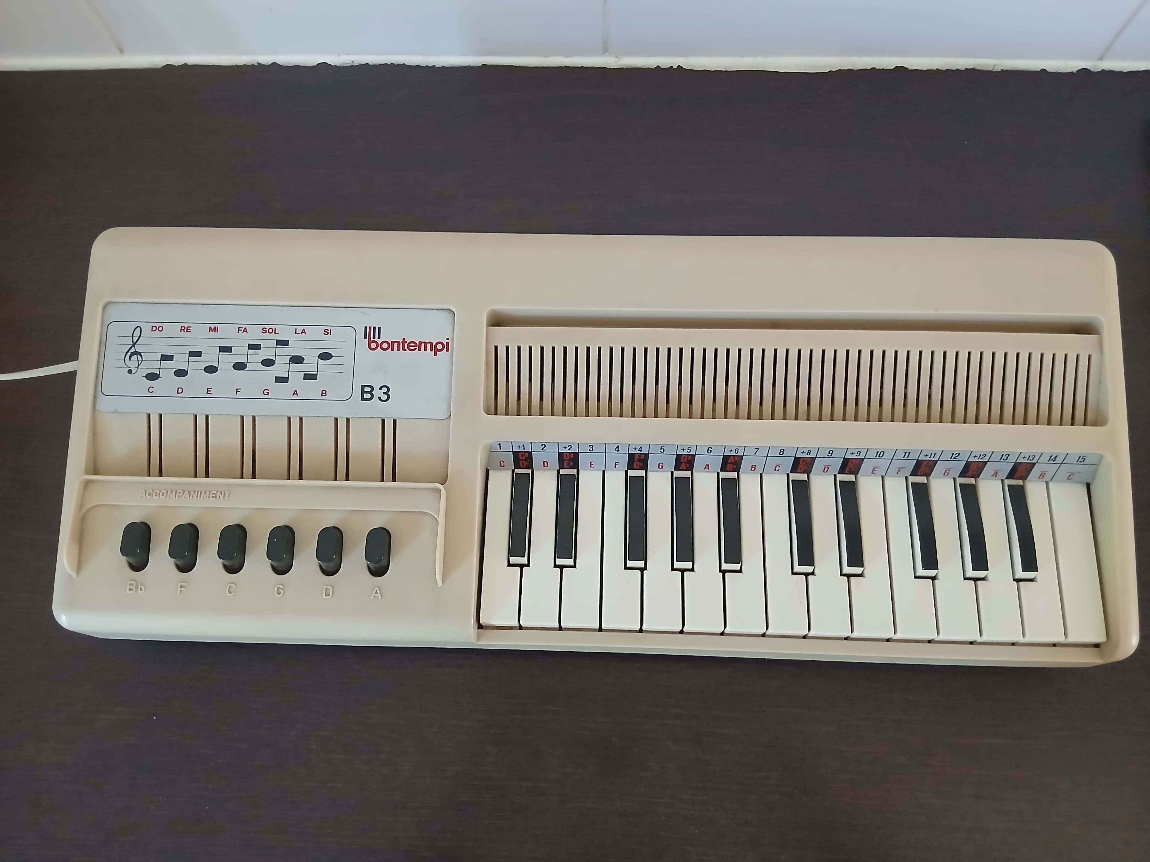 Vends Bontempi B3