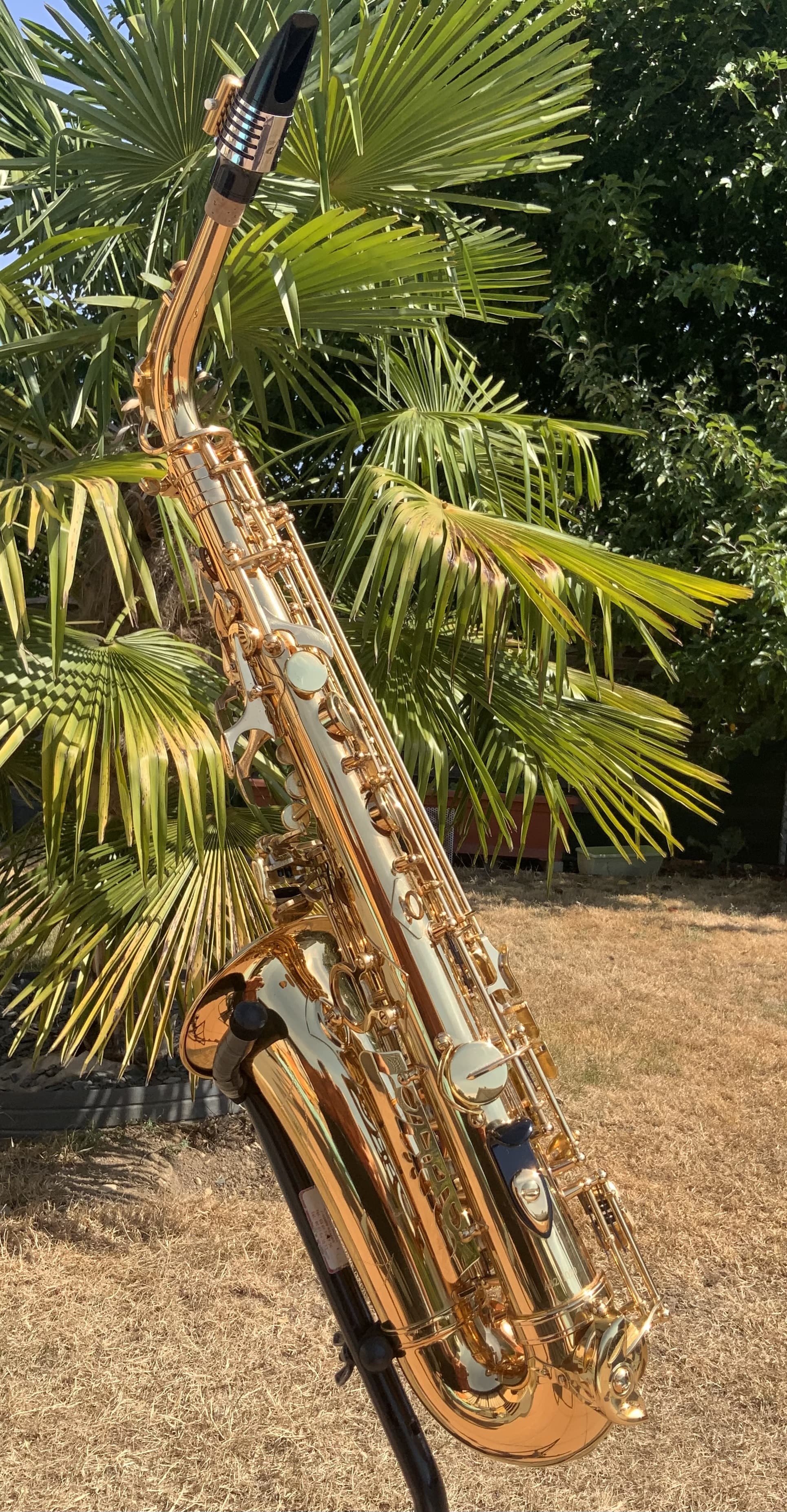 Saxophone Alto SML A-300