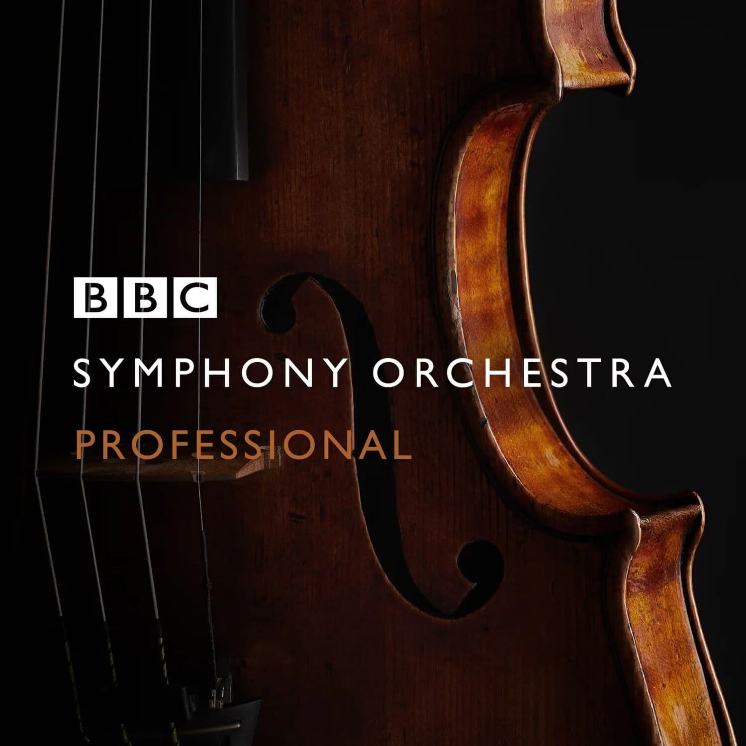 BBC Symphony Orchestra Professional - avec Aperture