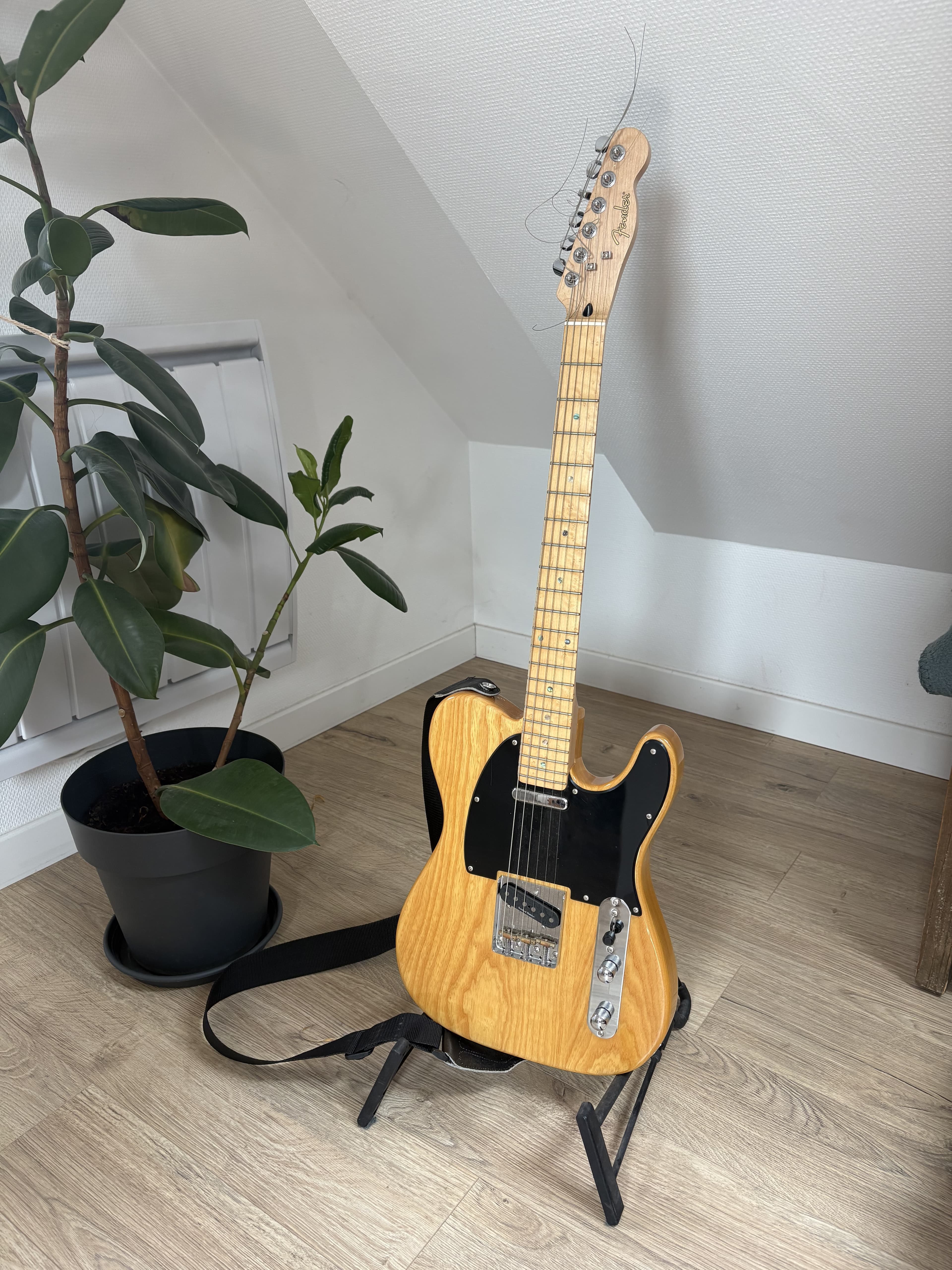 Pack Fender Telecaster + accessories