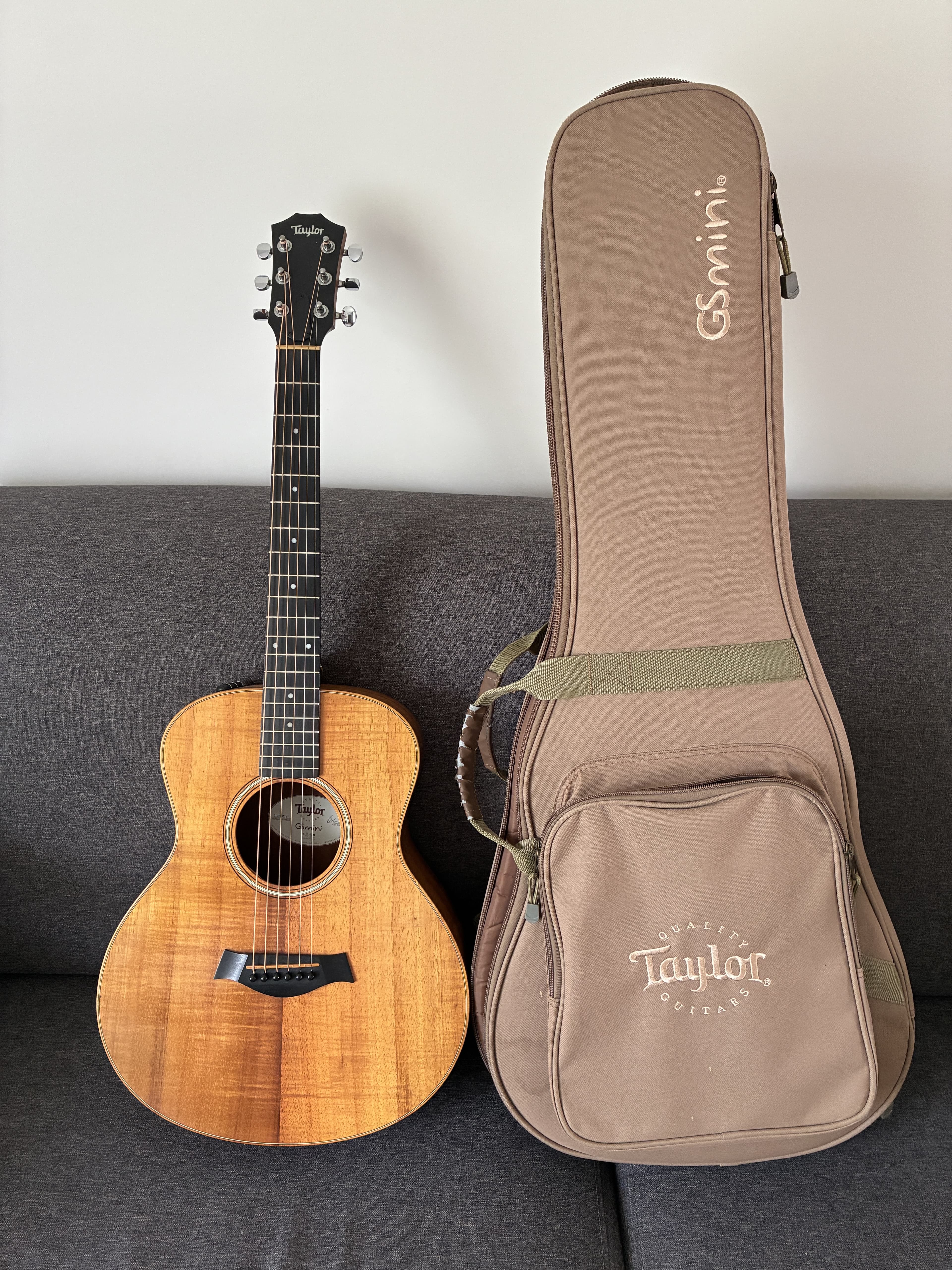 Taylor GS Mini-e Koa