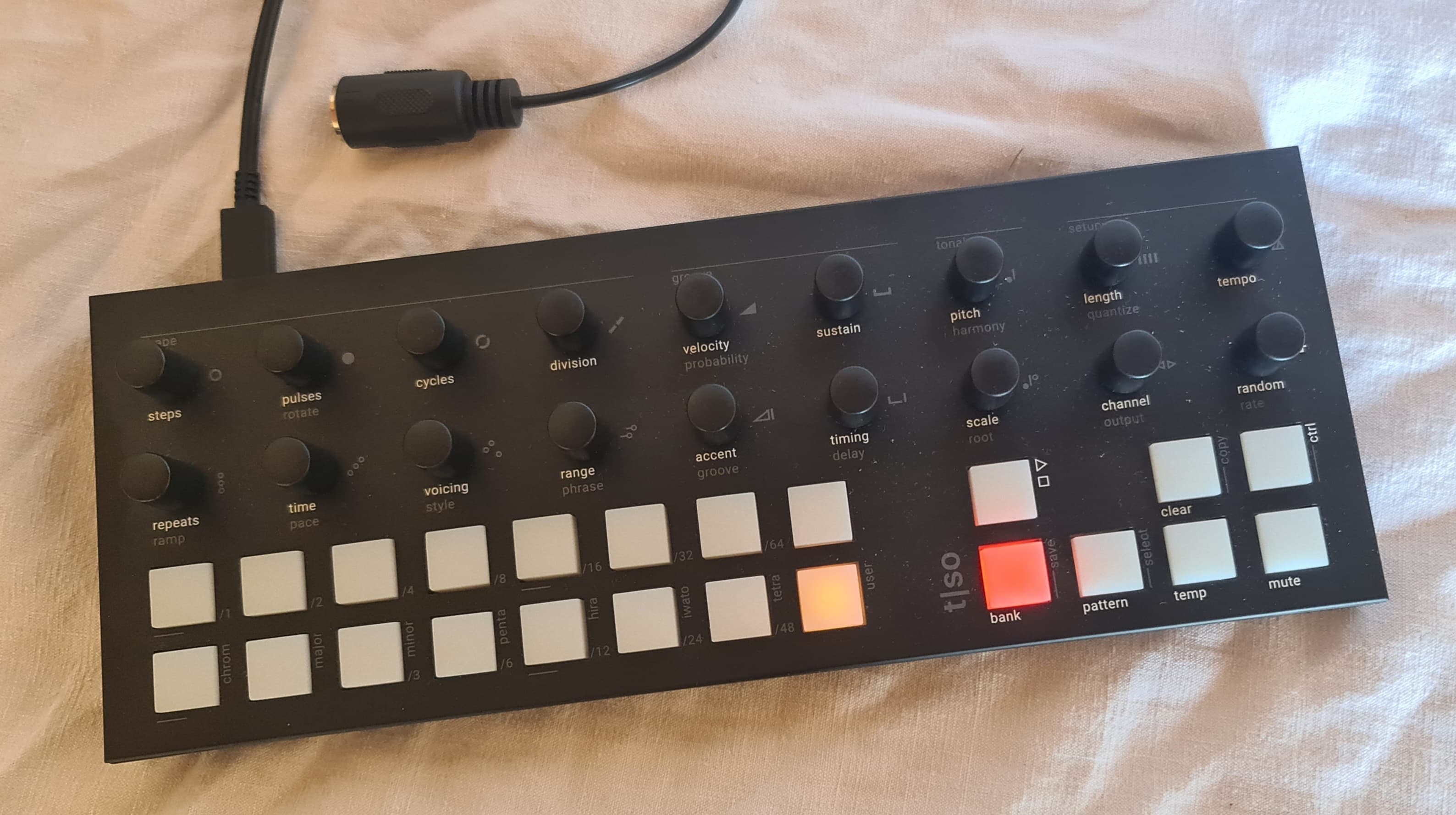 Vends torso T1