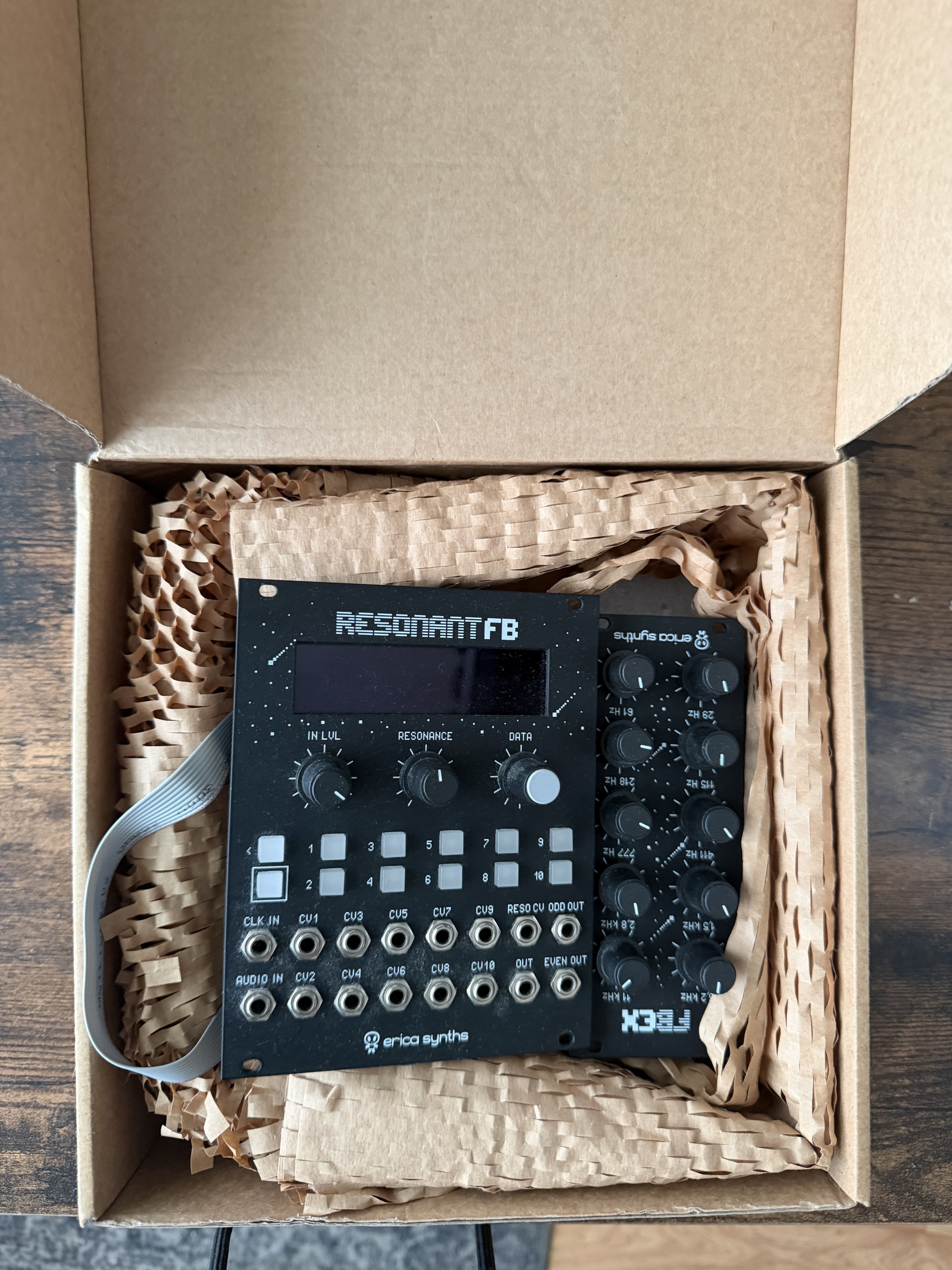 Erica Synths Graphic Resonant Filterbank + expandeur
