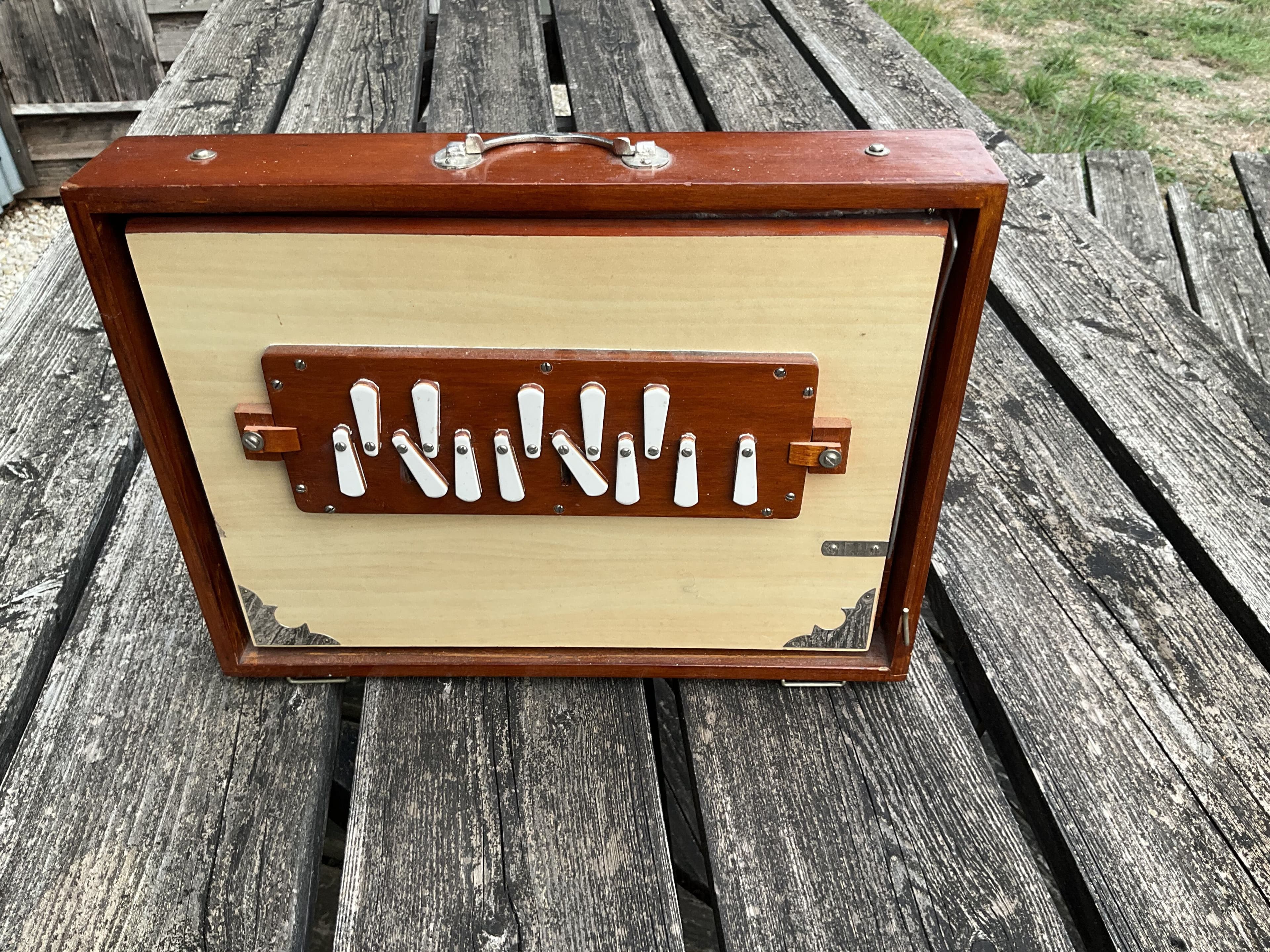 Vends Shruti Box