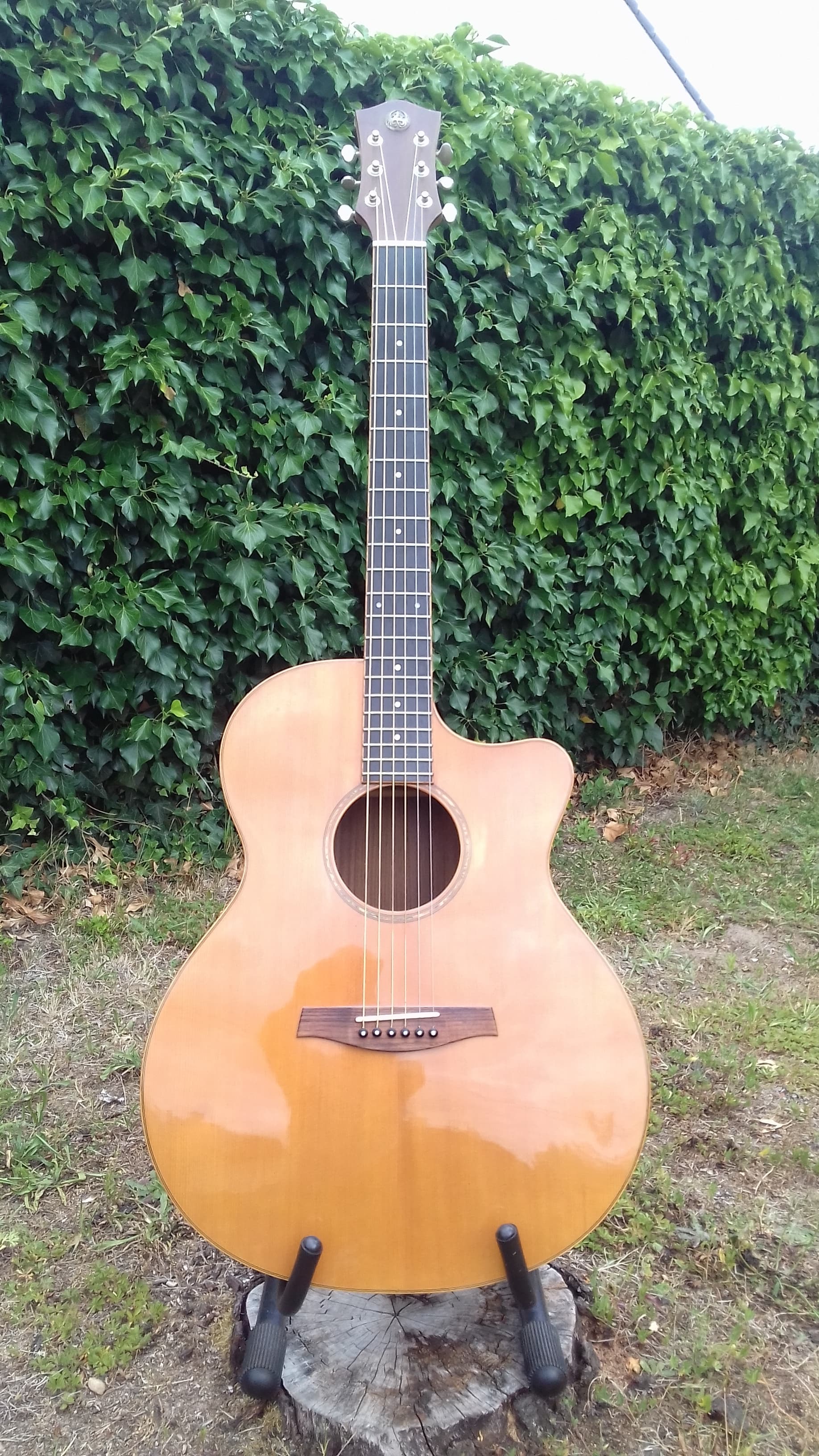 Vends guitare Vendramini